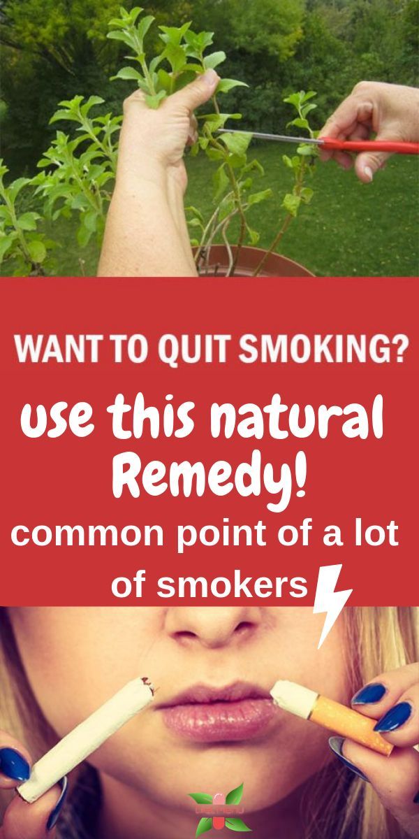 Want To Quit Smoking? This Herb Instantly Destroys Your Desire For Nicotine (and How To Grow It)